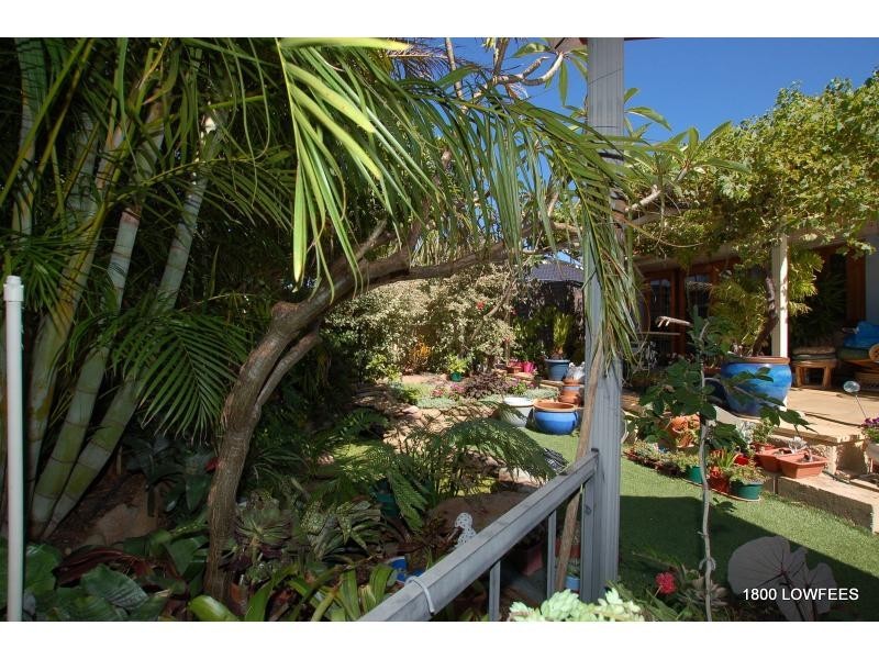 48 WESLEY Street, Balcatta WA 6021