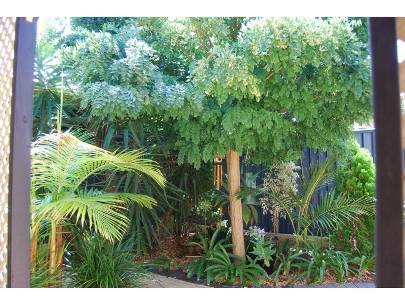 1 Sweets Link, Byford WA 6122