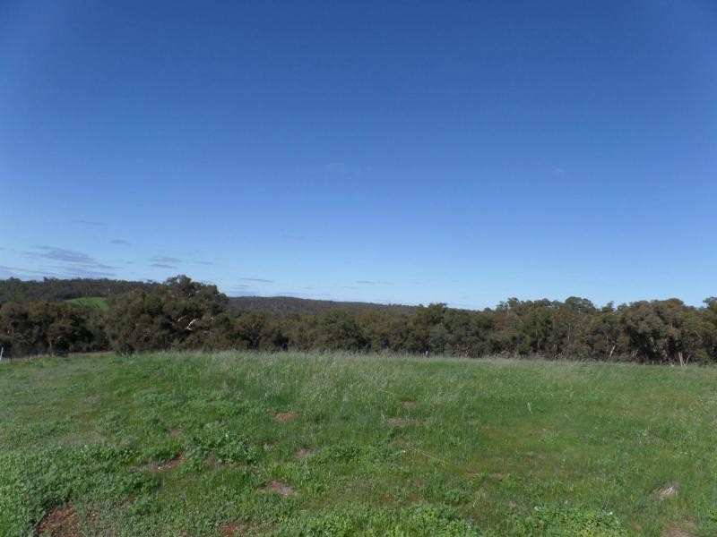 L62 Citron Way, Lower Chittering WA 6084