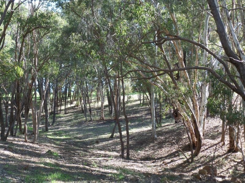 L62 Citron Way, Lower Chittering WA 6084
