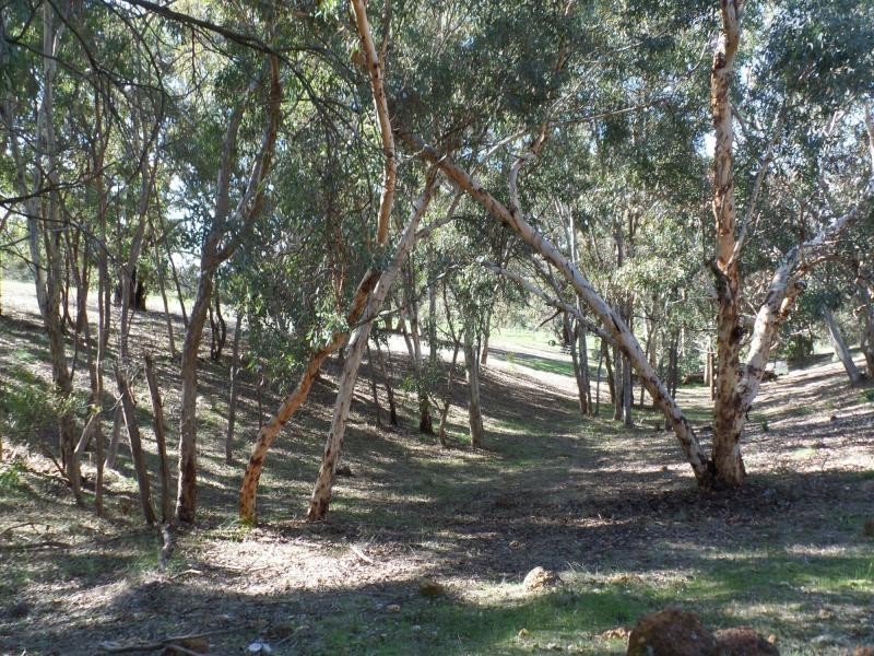 L62 Citron Way, Lower Chittering WA 6084