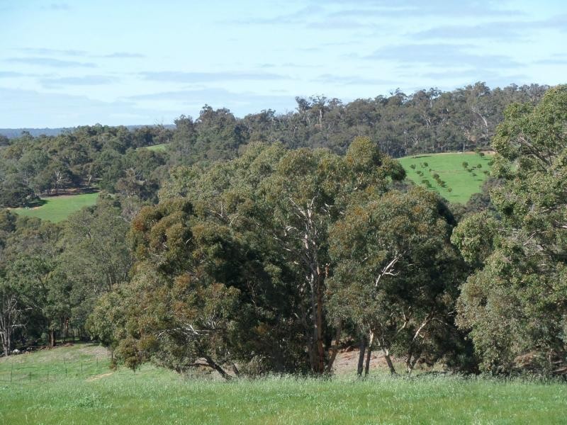 L62 Citron Way, Lower Chittering WA 6084