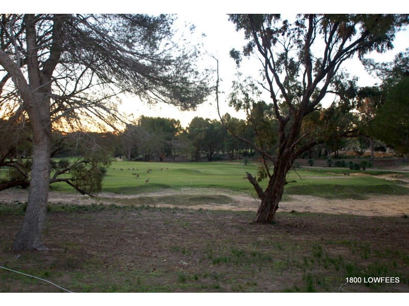 26 Stableford Loop, Yanchep WA 6035