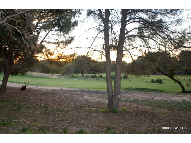 26 Stableford Loop, Yanchep WA 6035
