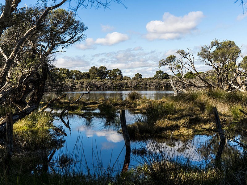 21 Claygate Road, Hamilton Hill WA 6163