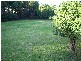 295 robinson, Cloverdale WA 6105