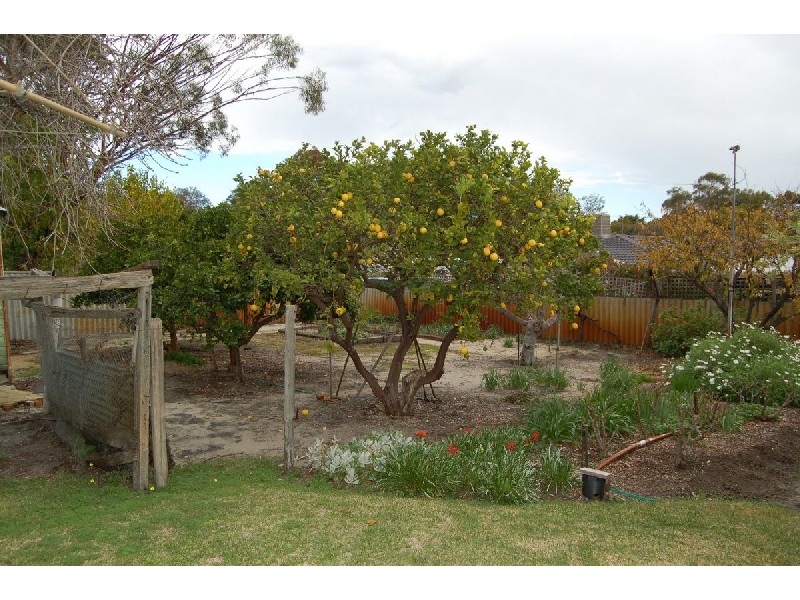 13 RIVER, Bassendean WA 6054