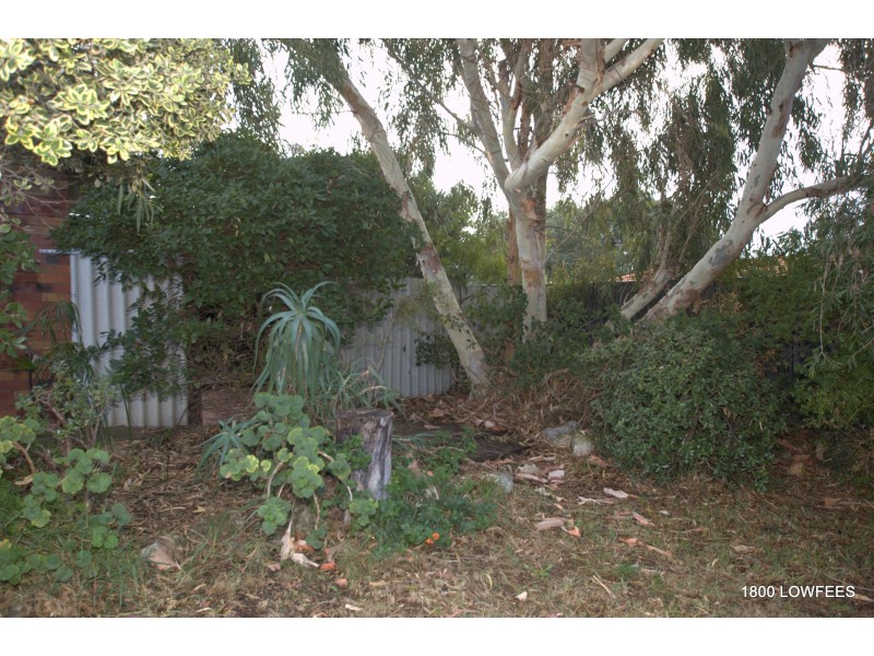 3A Groyder Way, Padbury WA 6025