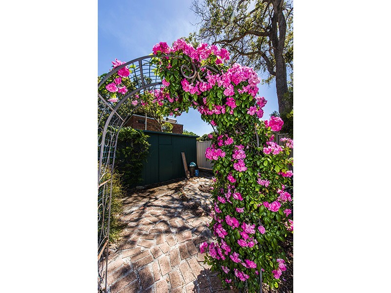 11 Shirley Rd, Walliston WA 6076