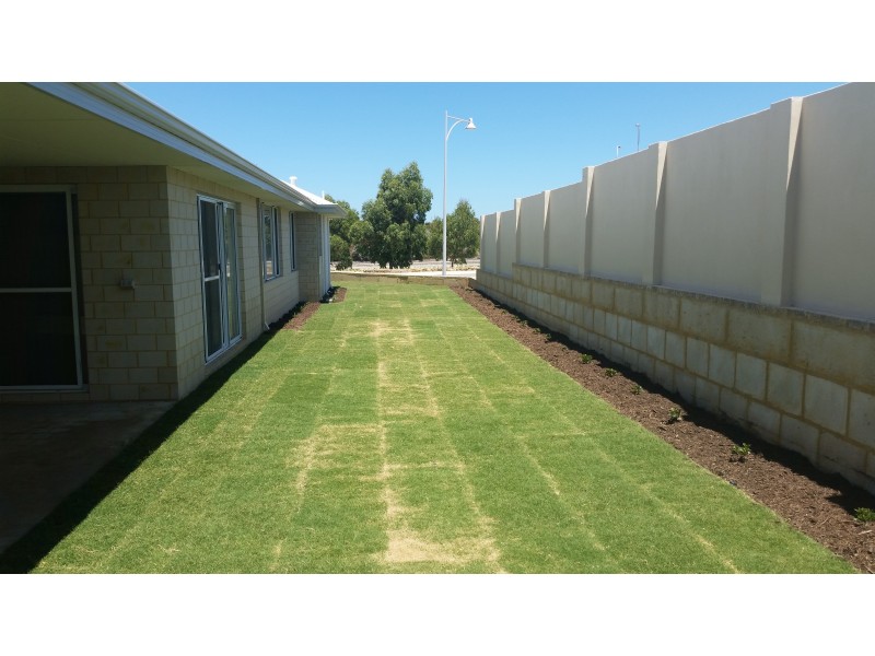 15 Callosa Cres, Alkimos WA 6038