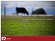 Cnr Spencer & Faulkners North Road, Tarrone VIC 3283