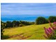 1703 Blowholes Road, Cape Bridgewater VIC 3305