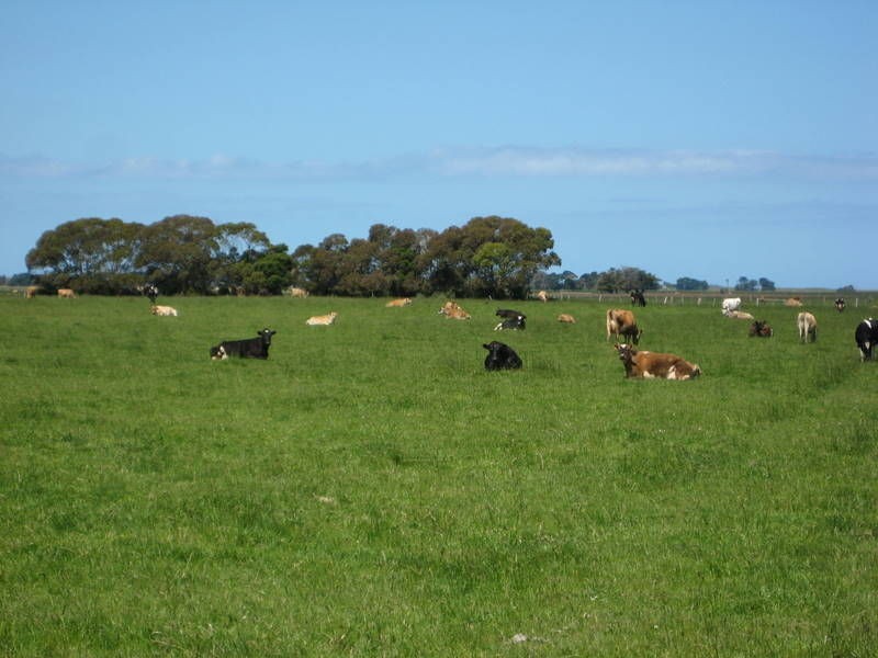 8 Toolong Road North, Toolong VIC 3285