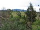 Lot 4 wandella Road, Cobargo NSW 2550