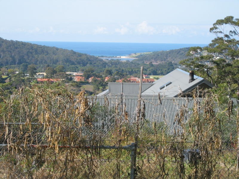 135 Merimbula Drive, Merimbula NSW 2548