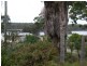 74 Oconnells Point Road, Bermagui NSW 2546