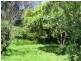 74 Oconnells Point Road, Bermagui NSW 2546