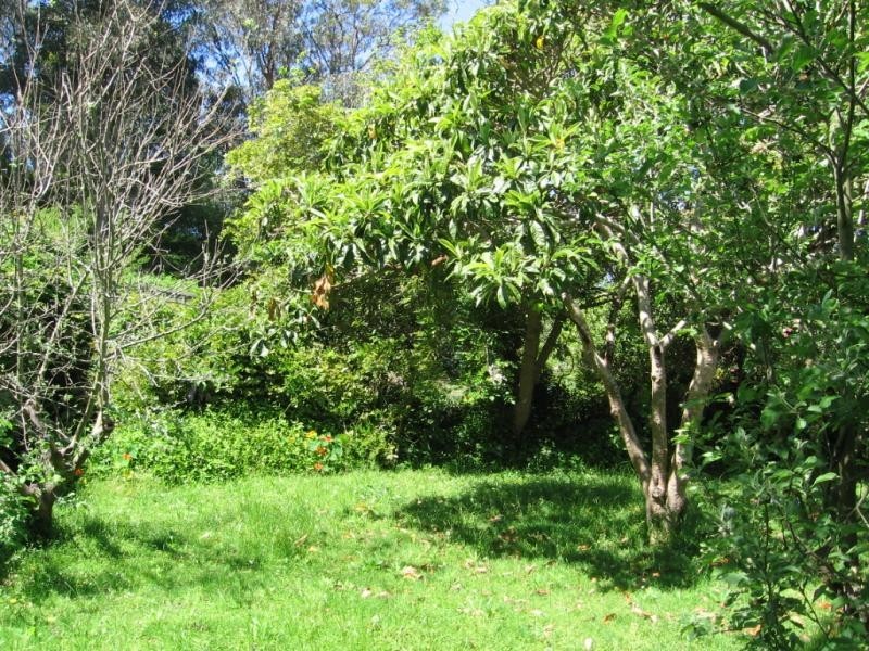 74 Oconnells Point Road, Bermagui NSW 2546