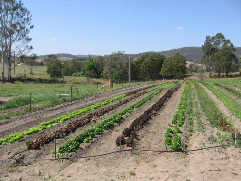 Lot 3 Avernus Street, Cobargo NSW 2550