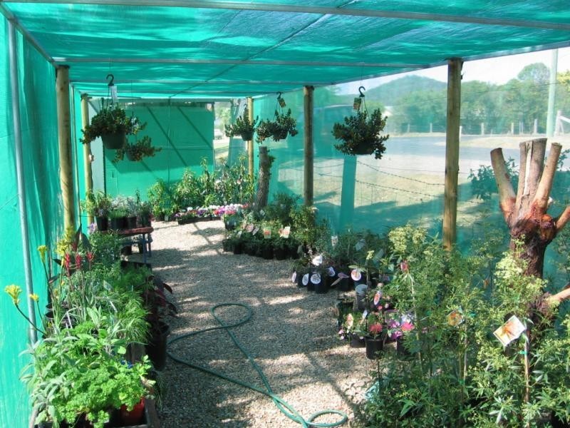 Lot 3 Avernus Street, Cobargo NSW 2550