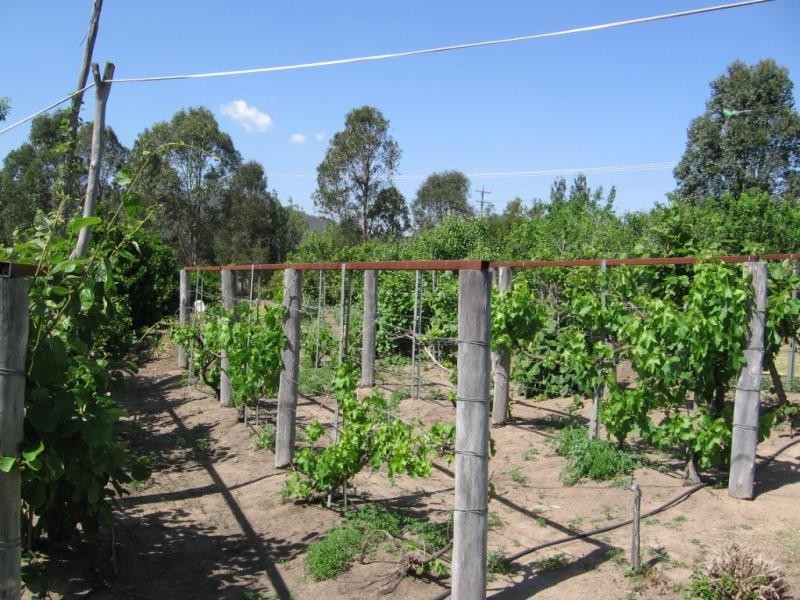 Lot 3 Avernus Street, Cobargo NSW 2550