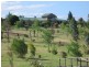 252 Wandella Road, Cobargo NSW 2550