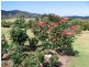 252 Wandella Road, Cobargo NSW 2550