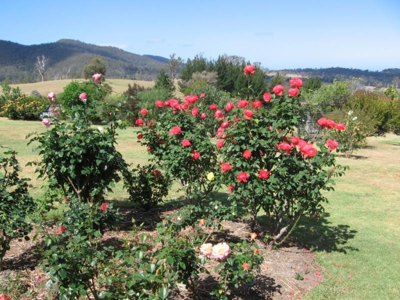 252 Wandella Road, Cobargo NSW 2550