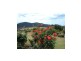 252 Wandella Road, Cobargo NSW 2550