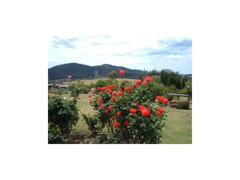 252 Wandella Road, Cobargo NSW 2550