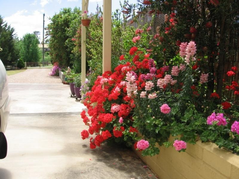 26 Hoyer Street, Cobargo NSW 2550