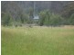 65 Strudwicks Road, Bermagui NSW 2546