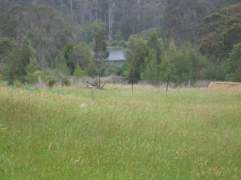 65 Strudwicks Road, Bermagui NSW 2546