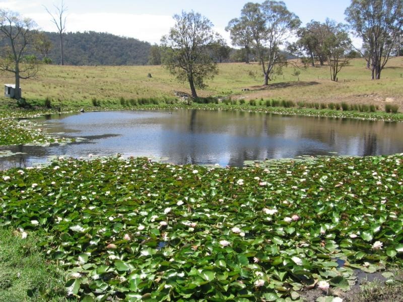 10534 Princes Highway, Cobargo NSW 2550