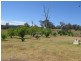 10534 Princes Highway, Cobargo NSW 2550