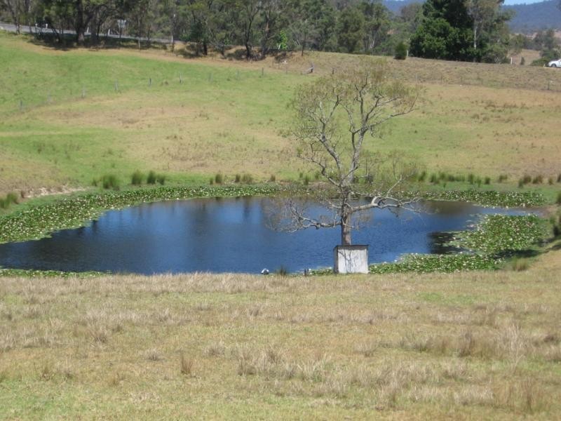 10534 Princes Highway, Cobargo NSW 2550