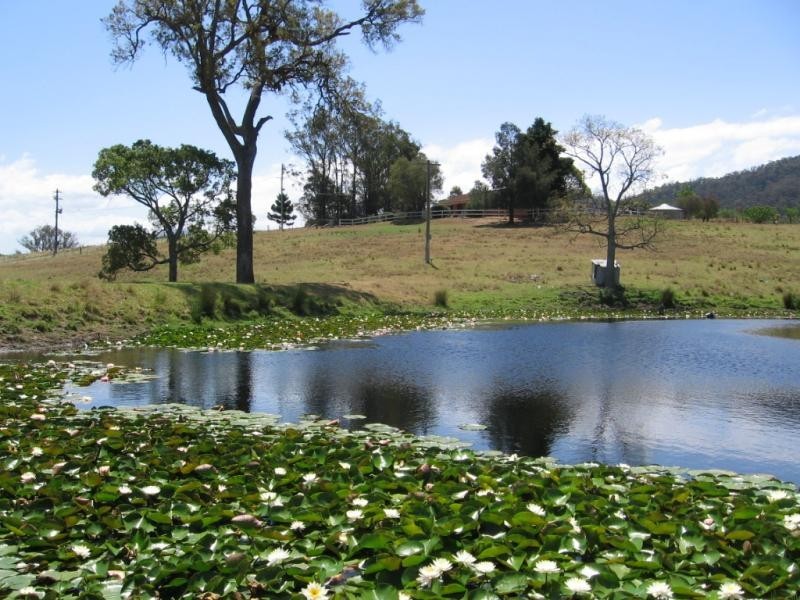 10534 Princes Highway, Cobargo NSW 2550