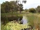 Bermagui NSW 2546