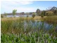 Bermagui NSW 2546