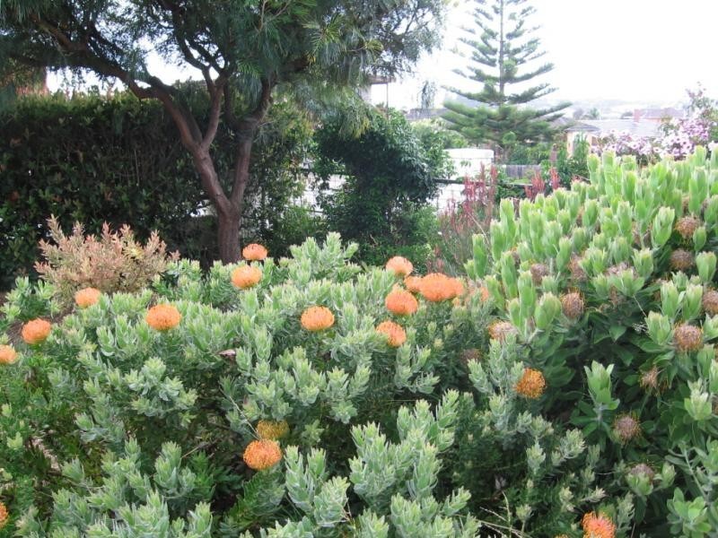 82 Murrah Street, Bermagui NSW 2546