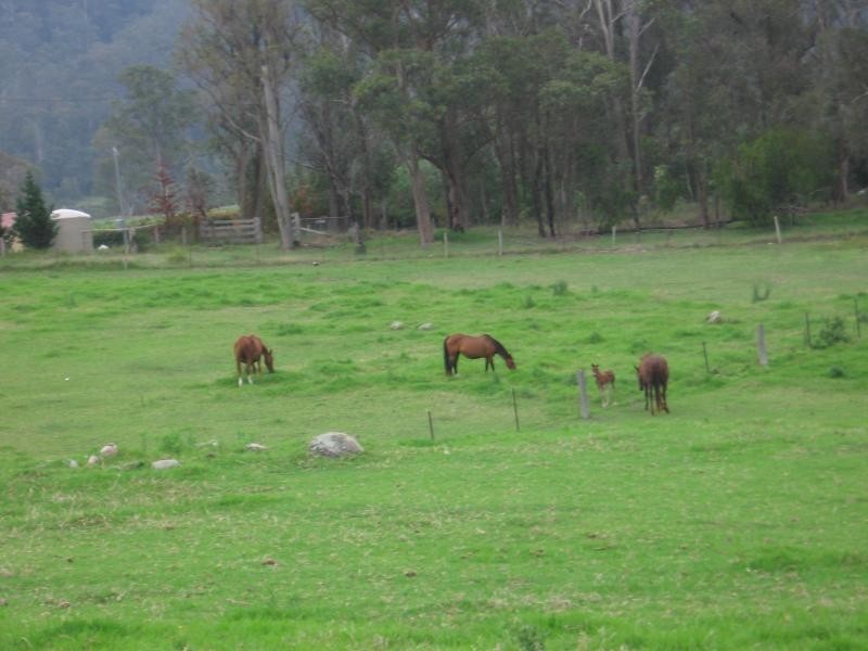 Cobargo NSW 2550