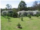 7 Rilys Road, Coolagolite NSW 2550