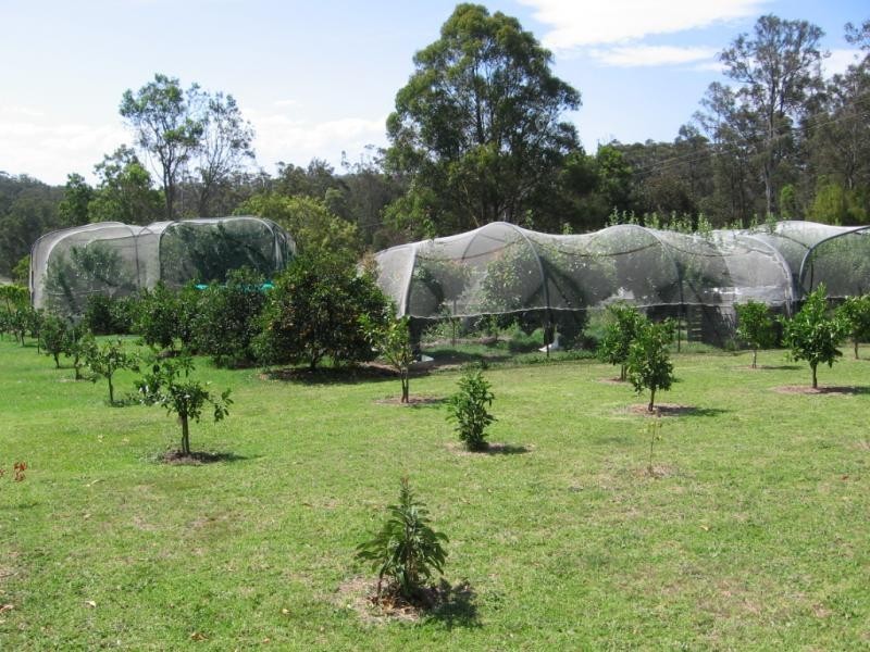 7 Rilys Road, Coolagolite NSW 2550