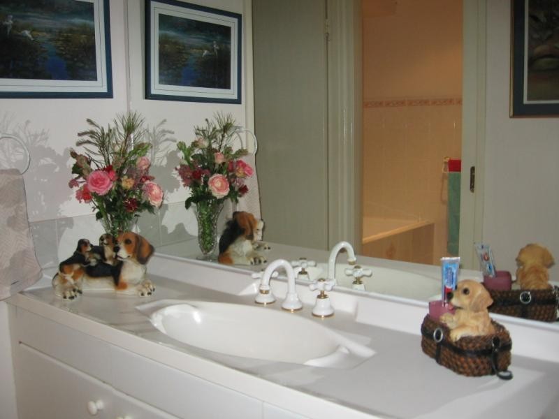 7 Rilys Road, Coolagolite NSW 2550