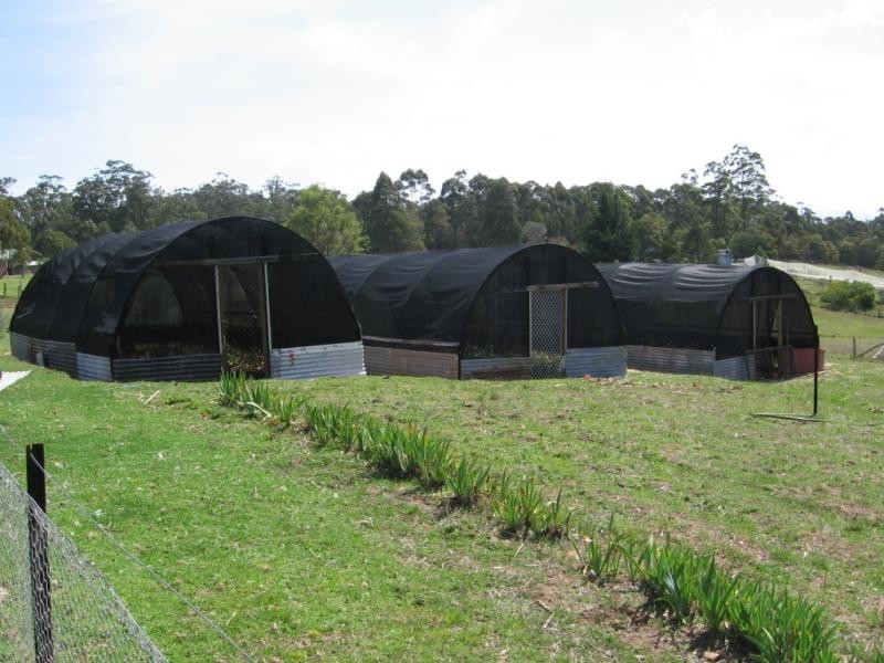 7 Rilys Road, Coolagolite NSW 2550