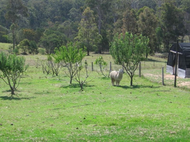 7 Rilys Road, Coolagolite NSW 2550