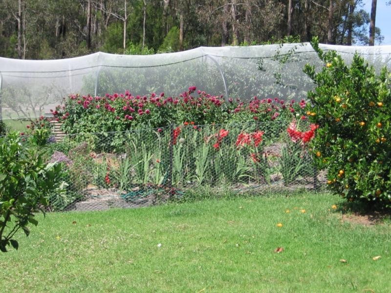 7 Rilys Road, Coolagolite NSW 2550