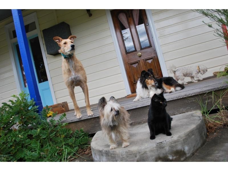 35-37 Princes Highway, Cobargo NSW 2550