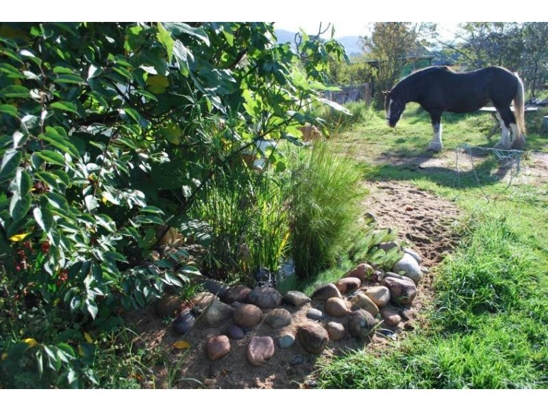 35-37 Princes Highway, Cobargo NSW 2550