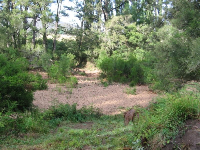 Proposed Lot 21 Fieldbuckets Road, Quaama NSW 2550